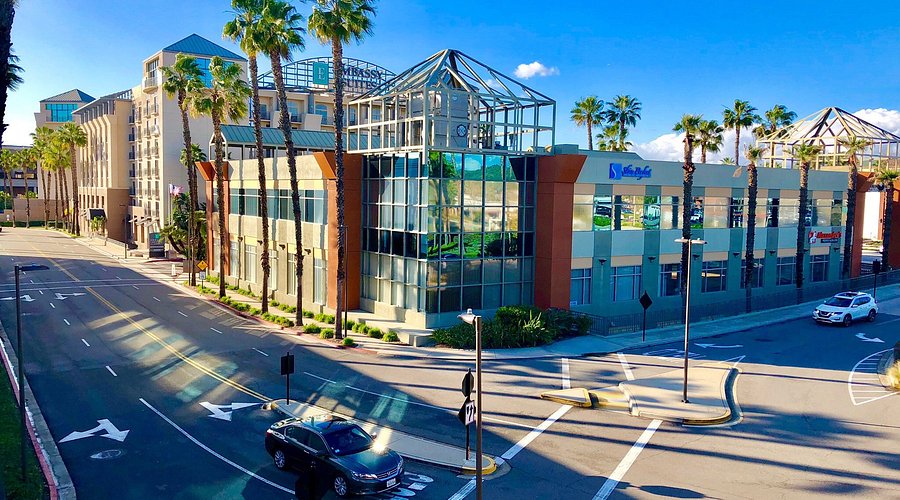 Modern office building with glass facade, palm trees, and surrounding streets with cars under a clear blue sky in Orange County, CA.