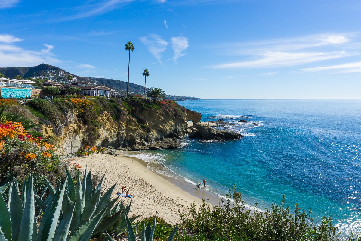 A sandy beach with clear blue water, coastal cliffs, palm trees, and colorful flowers under a sunny sky. Service areas nearby offer convenience as a few people relax on the beach and in the shallow water.