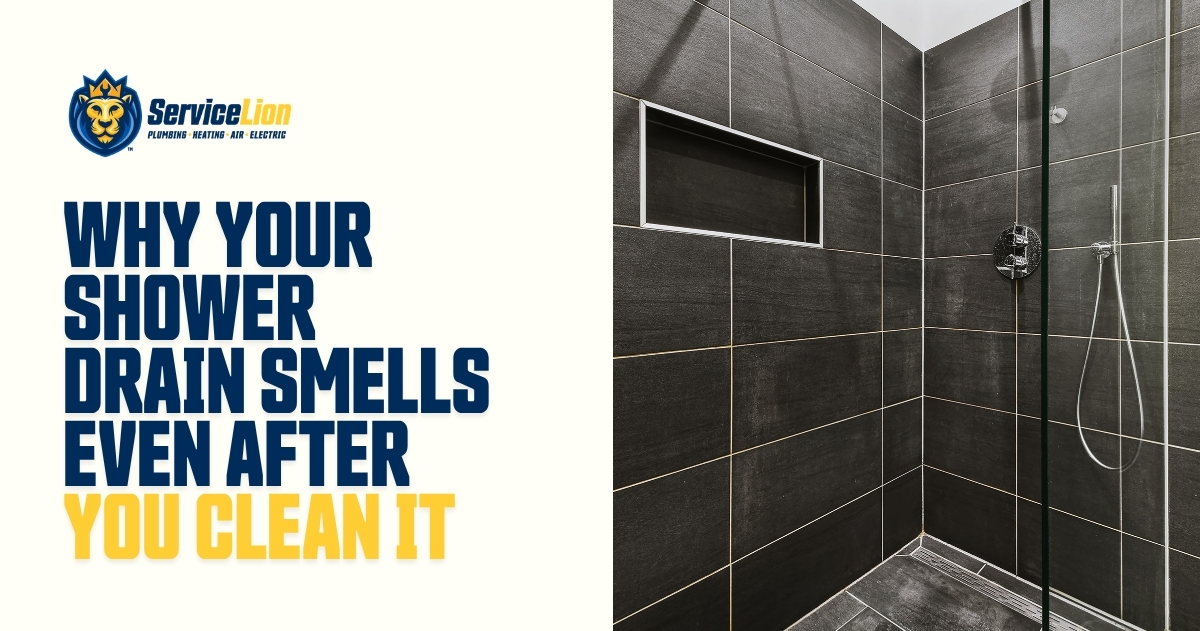 Modern black tiled shower with glass door; text on left reads, “Why your smelly shower drain smells even after you clean it.” Service Lion logo above text.
