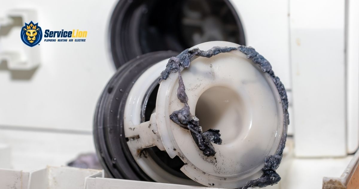Close-up of a dirty washing machine filter covered in grime and residue, with a Service Lion logo visible in the background.