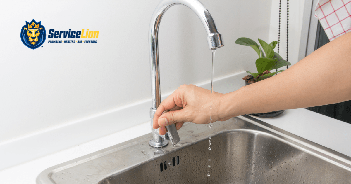 A person turns on a kitchen faucet, letting water run into a stainless steel sink that echoes with plumbing noise, with the ServiceLion logo visible in the corner.